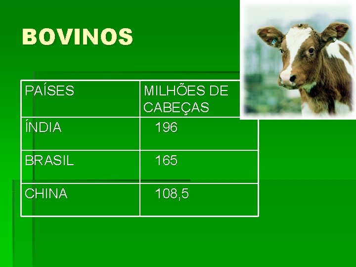 BOVINOS PAÍSES ÍNDIA MILHÕES DE CABEÇAS 196 BRASIL 165 CHINA 108, 5 