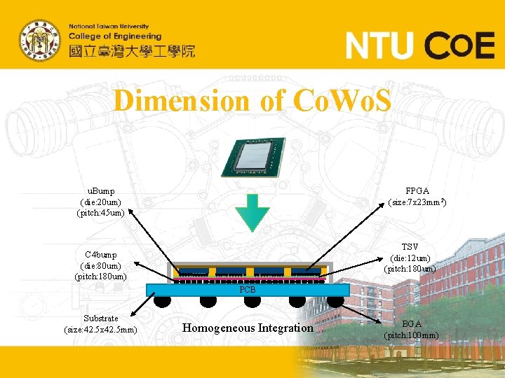 Dimension of Co. Wo. S u. Bump (die: 20 um) (pitch: 45 um) FPGA