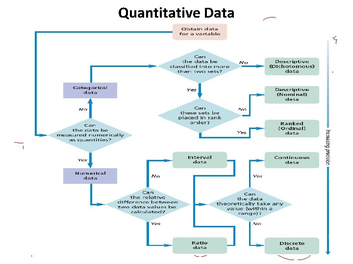 Quantitative Data 