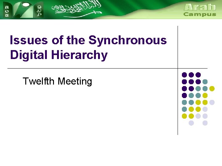 Issues of the Synchronous Digital Hierarchy Twelfth Meeting 