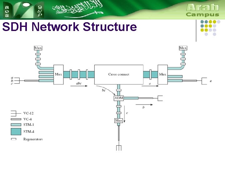 SDH Network Structure 