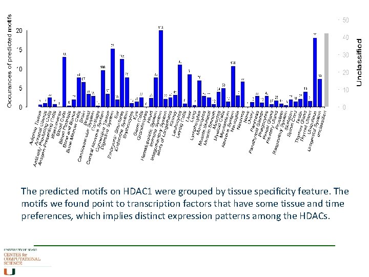 The predicted motifs on HDAC 1 were grouped by tissue specificity feature. The motifs