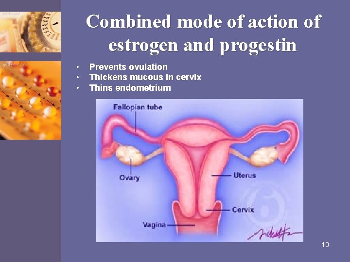 Combined mode of action of estrogen and progestin • • • Prevents ovulation Thickens
