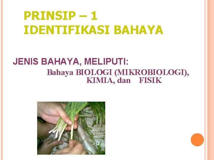 PRINSIP – 1 IDENTIFIKASI BAHAYA JENIS BAHAYA, MELIPUTI: Bahaya BIOLOGI (MIKROBIOLOGI), KIMIA, dan FISIK