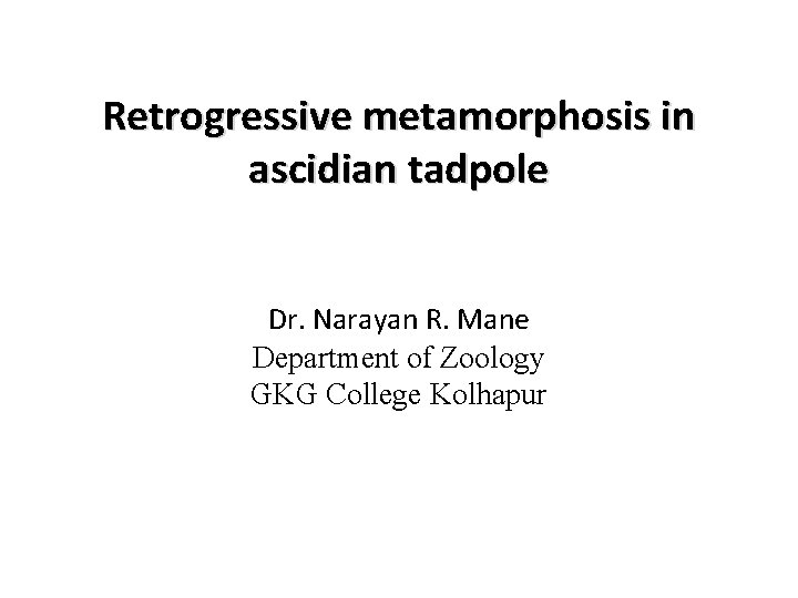 Retrogressive metamorphosis in ascidian tadpole Dr. Narayan R. Mane Department of Zoology GKG College