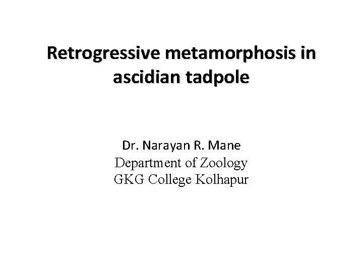 Retrogressive metamorphosis in ascidian tadpole Dr. Narayan R. Mane Department of Zoology GKG College