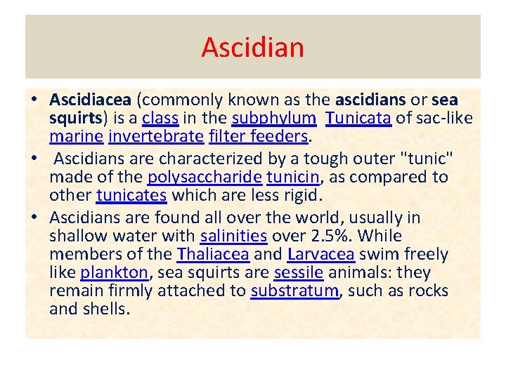 Ascidian • Ascidiacea (commonly known as the ascidians or sea squirts) is a class