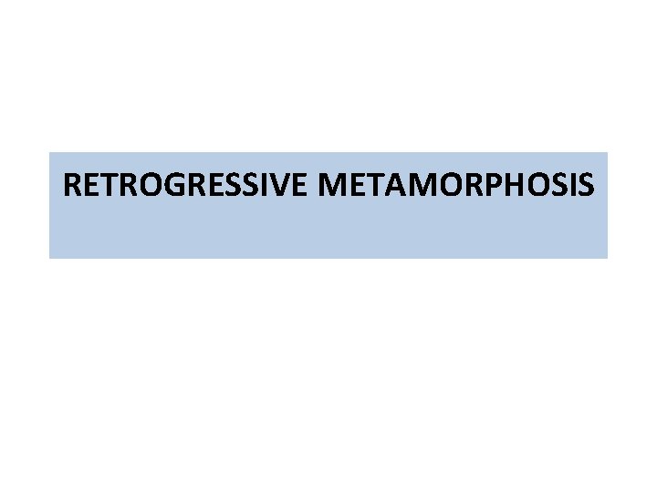 RETROGRESSIVE METAMORPHOSIS 