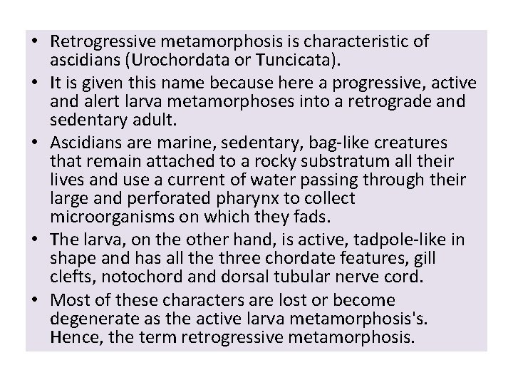  • Retrogressive metamorphosis is characteristic of ascidians (Urochordata or Tuncicata). • It is