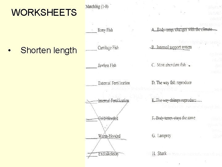 WORKSHEETS • Shorten length 