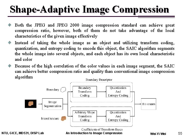 Shape-Adaptive Image Compression Both the JPEG and JPEG 2000 image compression standard can achieve