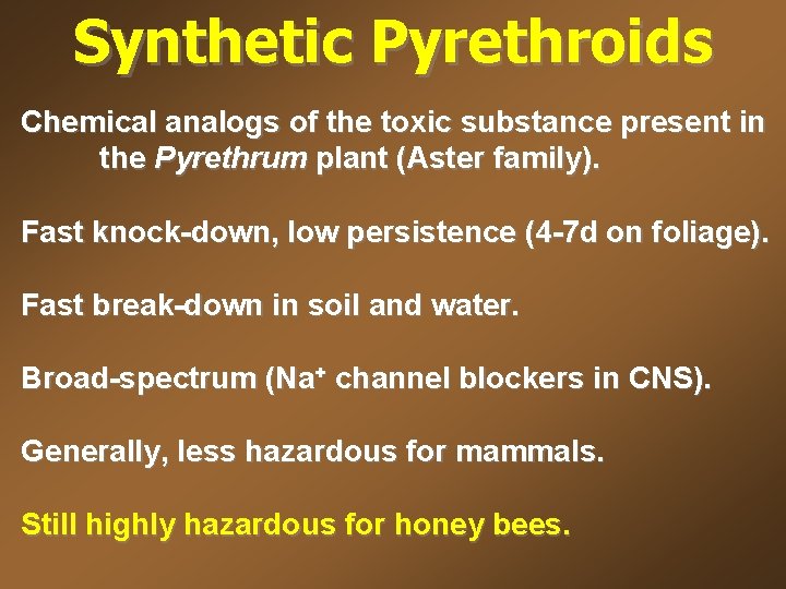 Synthetic Pyrethroids Chemical analogs of the toxic substance present in the Pyrethrum plant (Aster