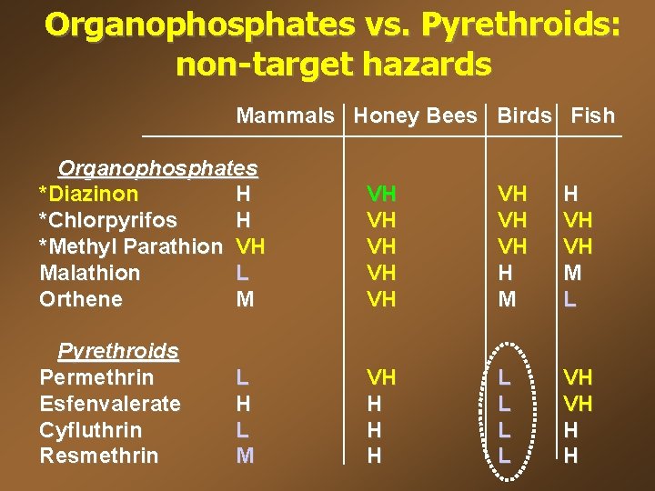 Organophosphates vs. Pyrethroids: non-target hazards Mammals Honey Bees Birds Fish Organophosphates *Diazinon H *Chlorpyrifos