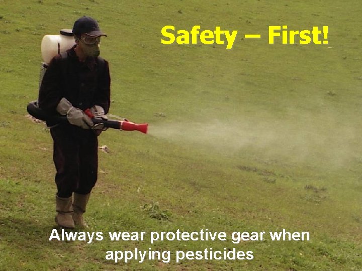 Safety – First! Always wear protective gear when applying pesticides 