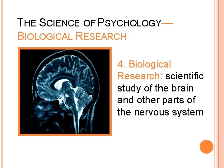 THE SCIENCE OF PSYCHOLOGY— BIOLOGICAL RESEARCH 4. Biological Research: scientific study of the brain