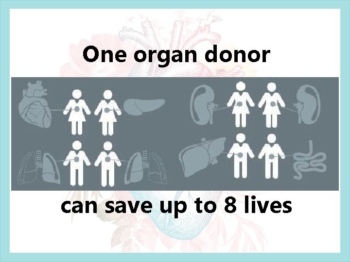 One organ donor can save up to 8 lives One organ donor can save up to 8 lives