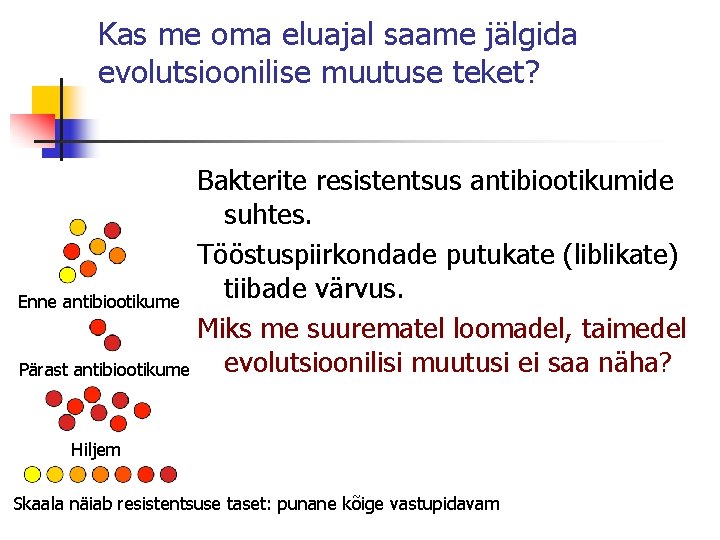 Kas me oma eluajal saame jälgida evolutsioonilise muutuse teket? Bakterite resistentsus antibiootikumide suhtes. Tööstuspiirkondade