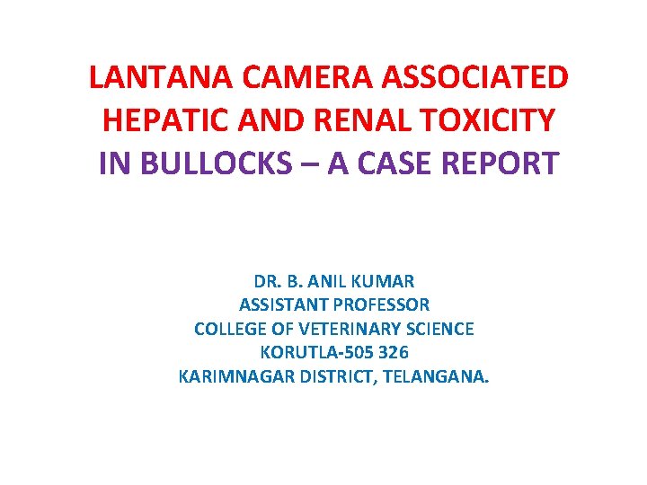 LANTANA CAMERA ASSOCIATED HEPATIC AND RENAL TOXICITY IN BULLOCKS – A CASE REPORT DR.