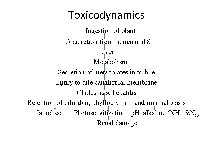 Toxicodynamics Ingestion of plant Absorption from rumen and S I Liver Metabolism Secretion of