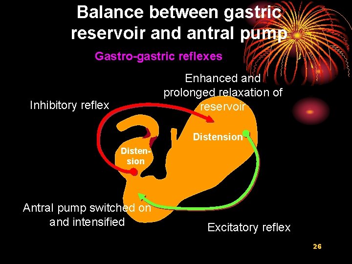 Balance between gastric reservoir and antral pump Gastro-gastric reflexes Enhanced and prolonged relaxation of