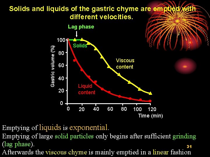 Solids and liquids of the gastric chyme are emptied with different velocities. Lag phase