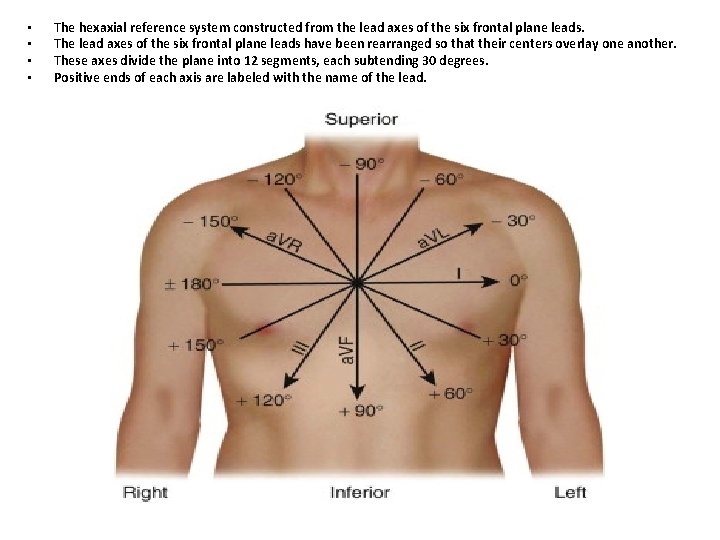  • • The hexaxial reference system constructed from the lead axes of the