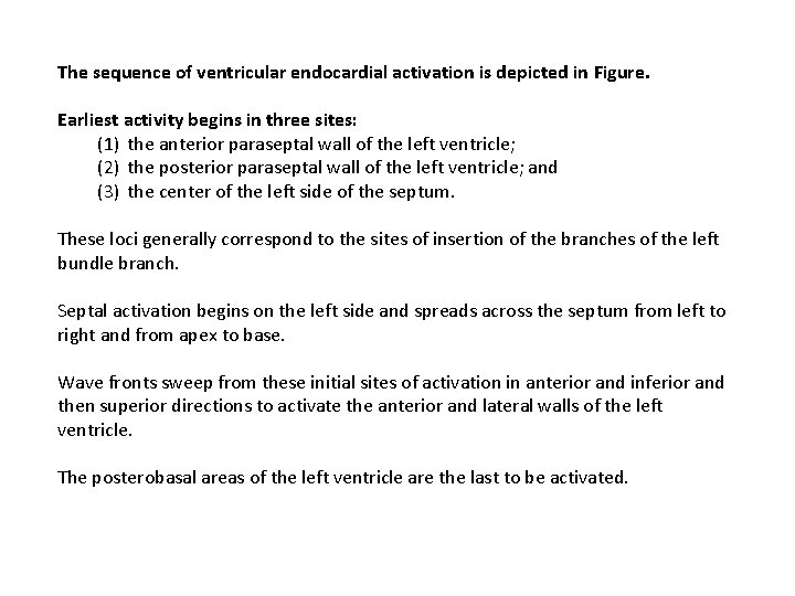 The sequence of ventricular endocardial activation is depicted in Figure. Earliest activity begins in