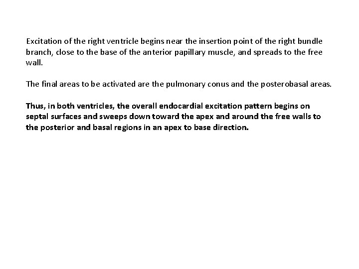 Excitation of the right ventricle begins near the insertion point of the right bundle