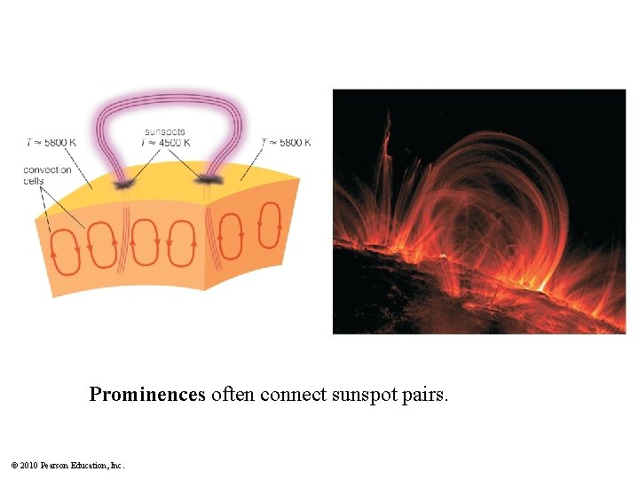 Prominences often connect sunspot pairs. © 2010 Pearson Education, Inc. 