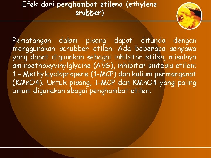 Efek dari penghambat etilena (ethylene srubber) Pematangan dalam pisang dapat ditunda dengan menggunakan scrubber