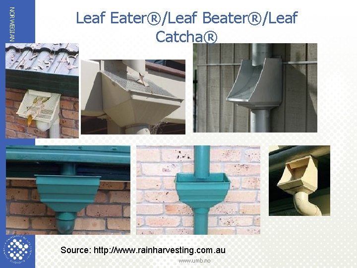 NORWEGIAN UNIVERSITY OF LIFE SCIENCES Leaf Eater®/Leaf Beater®/Leaf Catcha® 19 Source: http: //www. rainharvesting. NORWEGIAN UNIVERSITY OF LIFE SCIENCES Leaf Eater®/Leaf Beater®/Leaf Catcha® 19 Source: http: //www. rainharvesting.