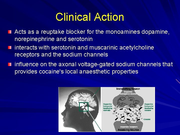 Clinical Action Acts as a reuptake blocker for the monoamines dopamine, norepinephrine and serotonin