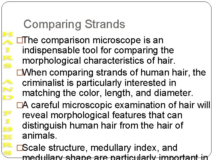Comparing Strands �The comparison microscope is an indispensable tool for comparing the morphological characteristics
