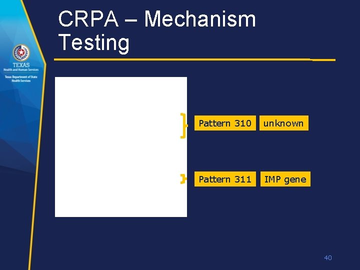 CRPA – Mechanism Testing Pattern 310 unknown Pattern 311 IMP gene 40 