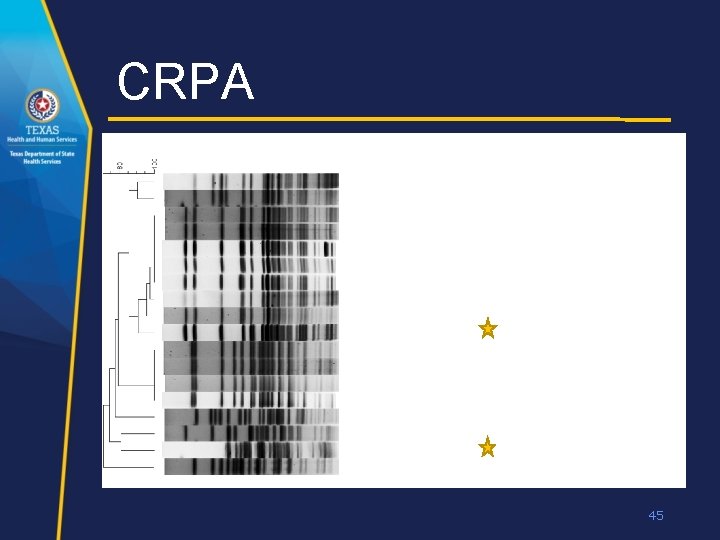 CRPA 45 