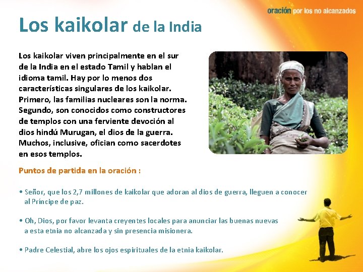 Los kaikolar de la India Los kaikolar viven principalmente en el sur de la