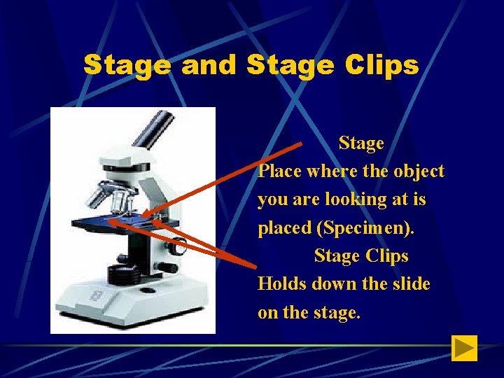 Stage and Stage Clips Stage Place where the object you are looking at is