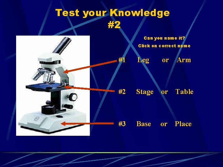Test your Knowledge #2 Can you name it? Click on correct name #1 Leg