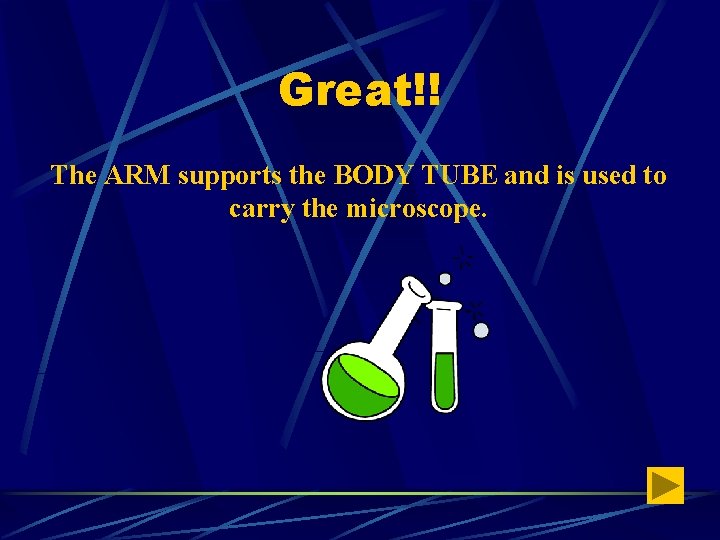 Great!! The ARM supports the BODY TUBE and is used to carry the microscope.