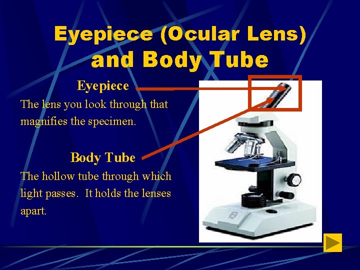 Eyepiece (Ocular Lens) and Body Tube Eyepiece The lens you look through that magnifies