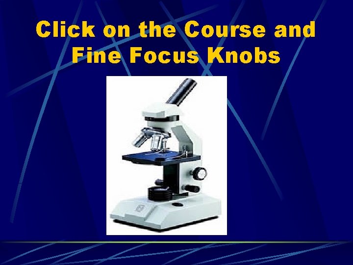 Click on the Course and Fine Focus Knobs 