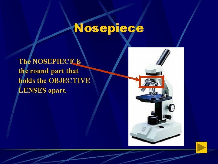 Nosepiece The NOSEPIECE is the round part that holds the OBJECTIVE LENSES apart. 