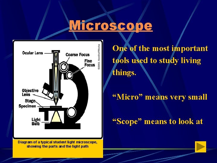 Microscope One of the most important tools used to study living things. “Micro” means