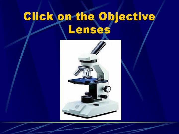 Click on the Objective Lenses 