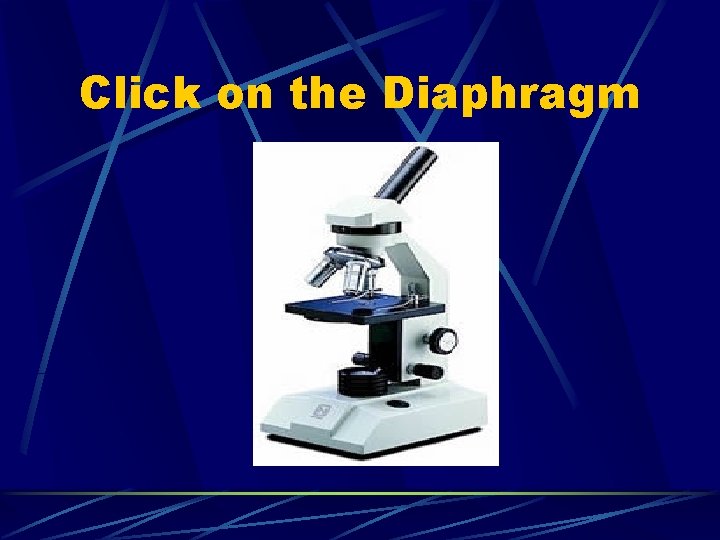 Click on the Diaphragm 