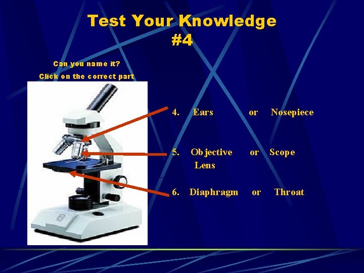 Test Your Knowledge #4 Can you name it? Click on the correct part 4.