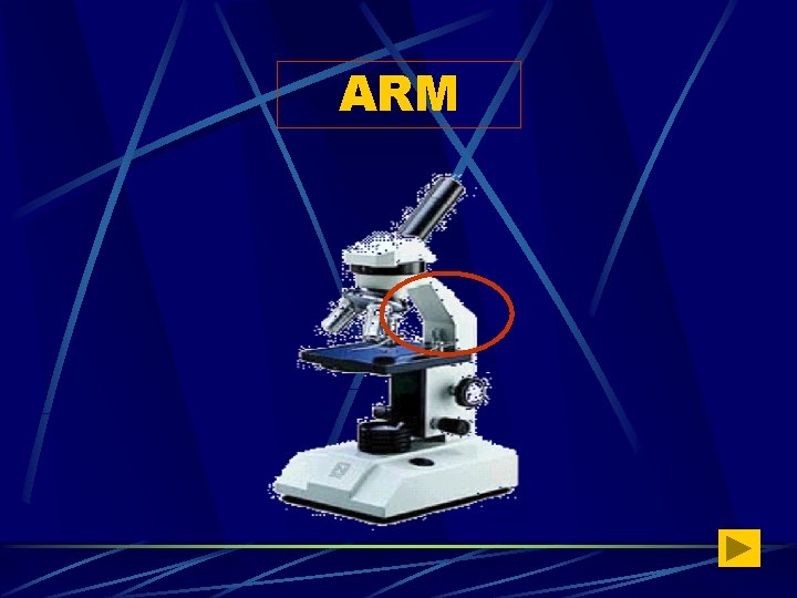 ARM 