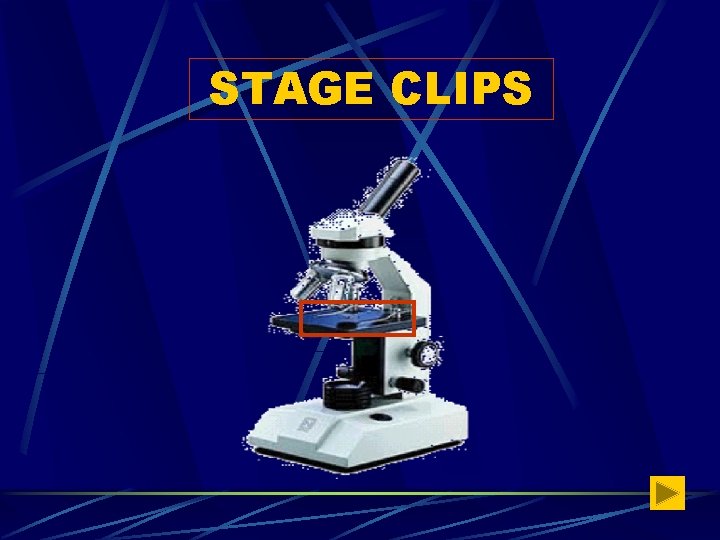 STAGE CLIPS 