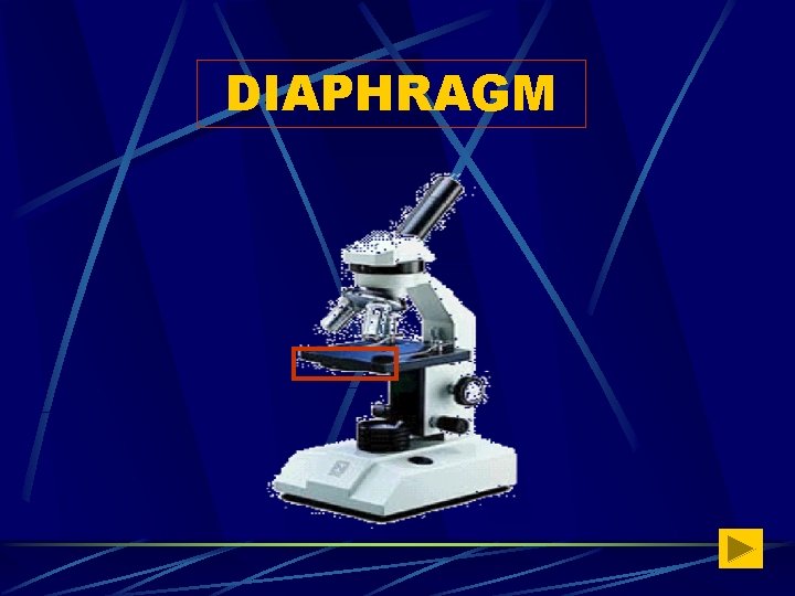 DIAPHRAGM 