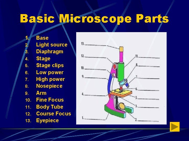 Basic Microscope Parts 1. 2. 3. 4. 5. 6. 7. 8. 9. 10. 11.
